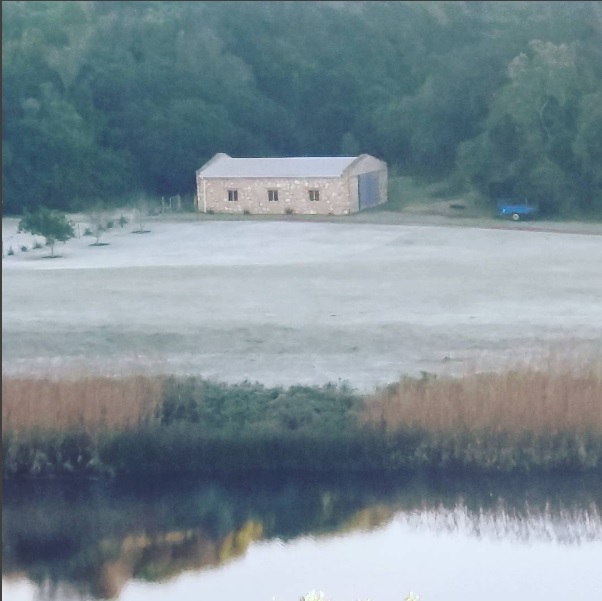 The frost this morning at Wild Olive Guest Farm (Photo by Karen Harding via Instagram)